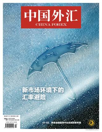 新市场环境下的汇率避险